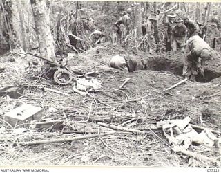 TOROKINA AREA, BOUGAINVILLE ISLAND. 1944-11-29. TROOPS OF NO.18 PLATOON, 9TH INFANTRY BATTALION DIGGING IN ON LITTLE GEORGE HILL AFTER THE CAPTURING THE FEATURE FROM THE ENEMY