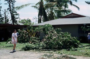 A damaged tree litters a lawn in the family housing area at the Pacific Missile Range Facility in the aftermath of Hurricane Iniki