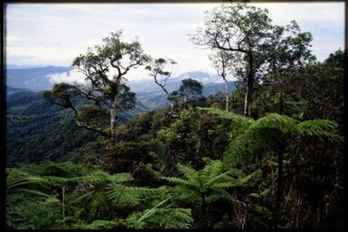 South from Mt Aoupinie