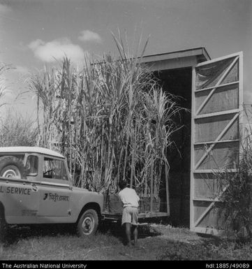 Photoperiod House - photoperiod experiments