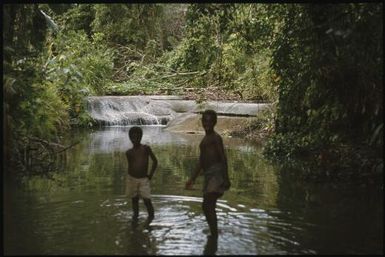 Two children in the river on the road to Yagaum : Madang, Papua New Guinea, 1974 / Terence and Margaret Spencer