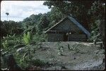 Kastom house at Ngarinaasuru