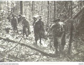 NEW GUINEA, 1943-07-20. JUNGLE TRACK BETWEEN SKINDEWAI AND BARARA STAGING CAMPS