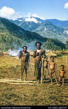 Goroka - Chimbu, Namuta Mission - building a longhouse for sing-sing