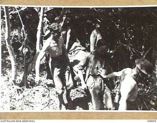 FINSCHHAFEN, NEW GUINEA, 1943-10-02. IN THE JUNGLE EVACUATING THE WOUNDED FROM THE FORWARD AREAS DURING THE CAMPAIGN