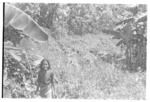 Girl standing in plantation