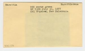 [Marattia in New Caledonia, envelope IE41-110]