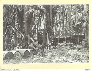 MADANG, NEW GUINEA. 1944-04-26. JAPANESE TRUCKS ABANDONED BEYOND BOGADJIM ON THE ROAD TO MADANG WHICH WERE CAPTURED BY THE ADVANCE OF THE 57/60TH INFANTRY BATTALION