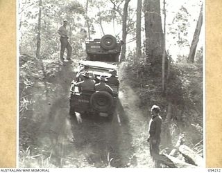 HERBERTON, QLD. 1943-07-09. JEEP MOVING UP A STEEP HILL, DURING A TRAINING COURSE FOR MOTOR TRANSPORT DRIVERS, AT HEADQUARTERS, 6TH AUSTRALIAN DIVISION