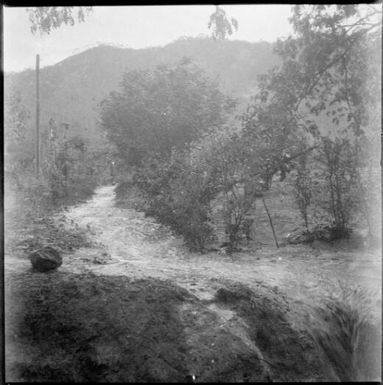 Stream of water flowing through Chinnery's garden with mountains in the distance, Malaguna Road, Rabaul, New Guinea, 1937 / Sarah Chinnery