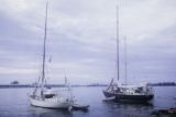 French Polynesia, sailboats anchored off shore of Tahiti Island