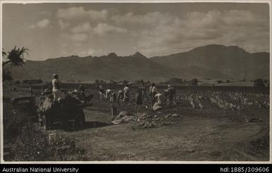 Planting at Lega Lega