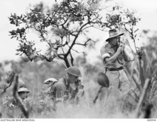 DONADABU AREA, NEW GUINEA. 1943-11-30. VX40266 LIEUTENANT K. F. TURNER, PLATOON UMPIRE, (1) CHECKING ORDERS OVER A WALKIE TALKIE RADIO SET WHILE NX123472 LIEUTENANT G. H. LITCHFIELD, OFFICER ..