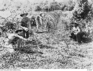 1943-04-14. NEW GUINEA. AUSTRALIAN ARTILLERYMEN SETTING A BARBWIRE ENTANGLEMENT IN AN AREA IN NEW GUINEA. FROM WHICH THE JAPANESE HAD BEEN DRIVEN OUT. IN FOREGROUND, LEFT TO RIGHT: GUNNER A.C. ..