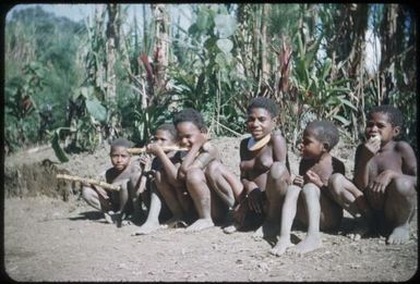 Small girls eating sugar cane, Highlands : Wahgi Valley, Papua New Guinea, 1954-1955 / Terence and Margaret Spencer
