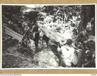 MUBO-SALAMAUA AREA, NEW GUINEA, 1943-07-22. VX45708 PRIVATE L. LORENSINI, A WOUNDED 2/5TH AUSTRALIAN INFANTRY BATTALION SOLDIER, BEING CARRIED TO HOSPITAL BY NATIVE STRETCHER BEARERS