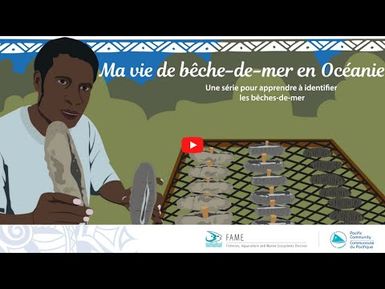 Ma vie de bêche-de-mer en Océanie - Identifier les produits secs