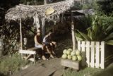 French Polynesia, people selling melons at roadside on Tahiti Island