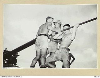 PORT MORESBY, PAPUA. 1942-07. ALWAYS READY. NO TIME IS LOST IN PREPARING ANTI-AIRCRAFT GUNS FOR ACTION AGAIN AFTER JAPANESE RAIDS ON OUR POSITIONS IN NEW GUINEA. THIS PICTURE SHOWS SUN-TANNED ..