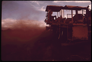 PLANTING SUGARCANE. SUGARCANE IS THE CHIEF AGRICULTURAL PRODUCT OF THIS ISLAND AND IS NOT AT PRESENT THREATENED BY DEVELOPERS. SUGARCANE IS GROWN MAINLY IN THE ISLANDS' CENTRAL VALLEY, WHERE FRESH WATER IS AVAILABLE