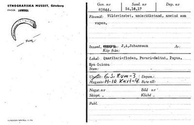 ["teckning, katalogkort", "teckning, katalogkort"]