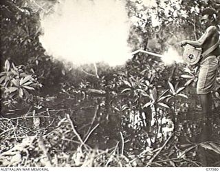 WUNUNG PLANTATION, NEW BRITAIN. 1944-12-30. A NATIVE DUSTING A MOSQUITO BREEDING AREA WITH PARIS GREEN USING A HAND BLOWER ISSUED BY THE 28TH AUSTRALIAN MALARIA CONTROL UNIT