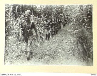 BOUGAINVILLE AREA, SOLOMON ISLANDS. 1945-03-23. NX114931 LIEUTENANT S. READ, OFFICER- IN- CHARGE OF NO.5 PLATOON, A COMPANY, 1ST NEW GUINEA INFANTRY BATTALION ATTACHED TO THE 7TH INFANTRY BRIGADE ..