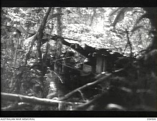 Mubo-Salamaua Area, New Guinea. 1943-07-22. The signal office at the 2/5th Australian Infantry Battalion, AIF, Headquarters camp