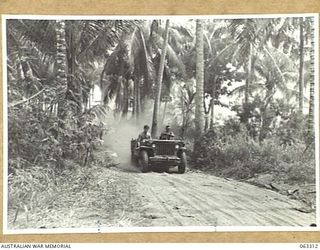 SIALUM, NEW GUINEA. 1944-01-07. JEEPS MOVING ALONG A DUSTY TRACK NORTH OF THE VILLAGE