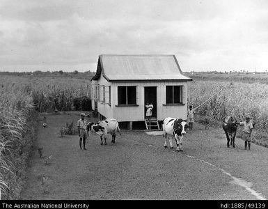 Typical Indian cane grower's house