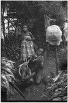 Pig festival, wig ritual, Tsembaga: man's wig is decorated with feathers, barkcloth cap covers wig in foreground