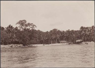 The landing place at Saa on the island of Malaita, Solomon Islands, 1906 / J.W. Beattie