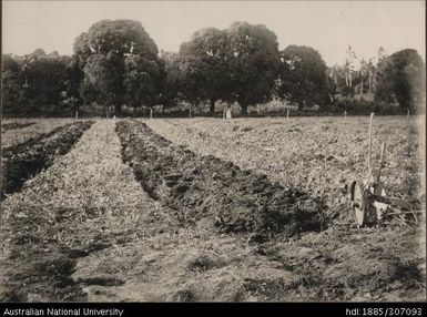 Indian Agricultural Show, Ba