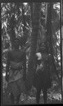 Dancers on Tabiteuea, Kiribati