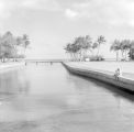 United States, man and boy fishing along water in Honolulu