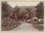 View at Pago Pago, Samoa