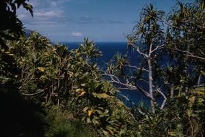 [Ocean view from Na Pali-Kona Forest, Untied States]