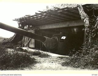 PORT MORESBY, PAPUA, NEW GUINEA. 1944-03-27. NO 1 GUN PAGA BATTERY, COAST ARTILLERY, THE GUNS WERE COVERED WITH IMPROVISED MATERIALS IN 1942-03 BY BATTERY PERSONNEL UNDER THE TECHNICAL SUPERVISION ..