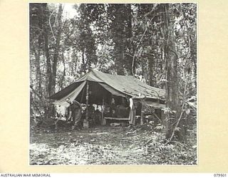 DREGER HARBOUR, NEW GUINEA. 1944-01. PERSONNEL OF THE 10TH FIELD AMBULANCE RELAXING IN THEIR JUNGLE HIDDEN LINES