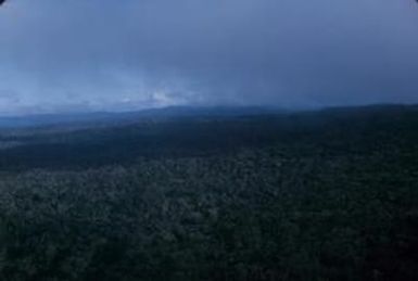 [Aerial view of a forested area with clouds in Alakai Swamp Trail, Hawaii]