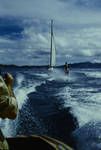 Water ski-ing, Port Moresby, [Papua New Guinea], Apr 1962