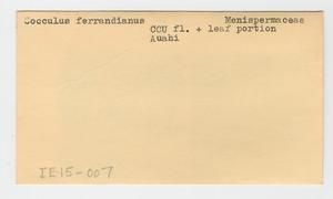 [Cocculus ferrandianus in Hawaii, envelope IE15-007]