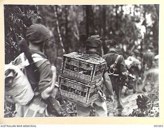 BERRY'S HILL, CENTRAL BOUGAINVILLE, 1945-06-27. A PATROL OF 7 INFANTRY BATTALION DESCENDING BERRY'S HILL ON THE FIRST LEG OF THE MOVE TO WEARNE'S HILL