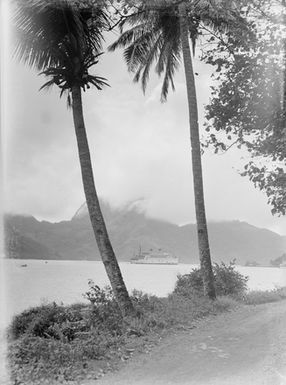 [View of a ship and palm trees]