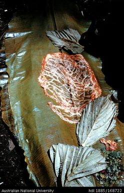 Preparation of innards in leaves