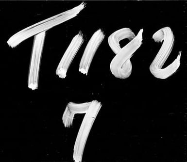 Records of the High Court: Series No. 11: Census of 1945, Eastern Tutuila, Western Tutuila, and Manu'a, and Swain's Island