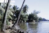 French Polynesia, fishing nets hanging from trees along shoreline of Tahiti Island