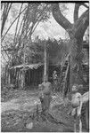 Pig festival, pig sacrifice, Kwiop: children in front of shelter at ancestral shrine