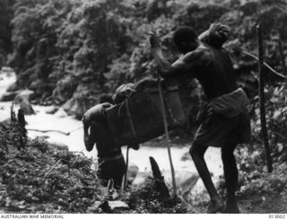 NATIVE BEARERS (POPULARLY KNOWN AS FUZZY WUZZY ANGELS) WALK LONG DISTANCES CARRYING HEAVY LOADS OF SUPPLIES AND EQUIPMENT FOR AUSTRALIAN TROOPS