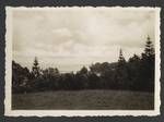 View of trees and lake in the background, New Zealand?